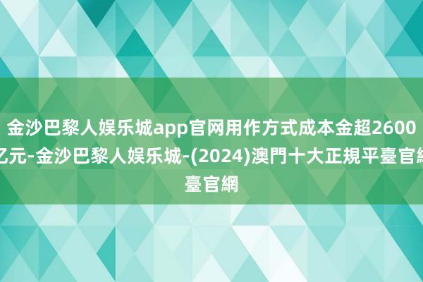 金沙巴黎人娱乐城app官网用作方式成本金超2600亿元-金沙巴黎人娱乐城-(2024)澳門十大正規平臺官網